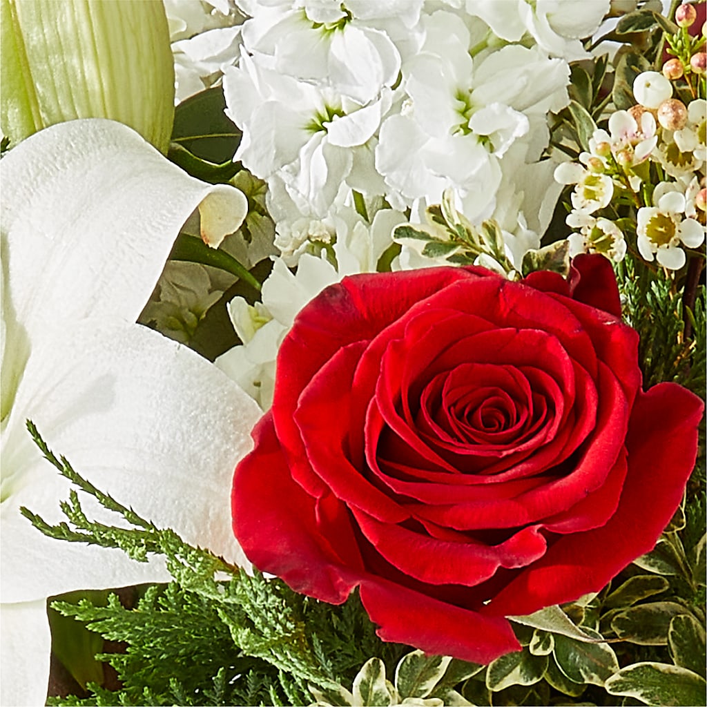 Twinkle Lights Bouquet –  Rita Fleuriste Montreal, Montreal PQ