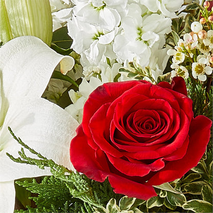 Twinkle Lights Bouquet –  Rita Fleuriste Montreal, Montreal PQ