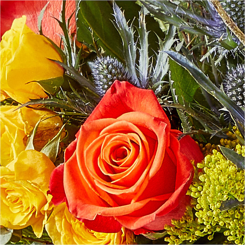 Disco Bouquet –  Rita Fleuriste Montreal, Montreal PQ