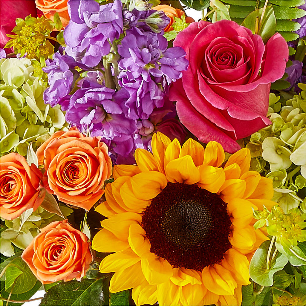 Vibrant Greetings Bouquet –  Rita Fleuriste Montreal, Montreal PQ