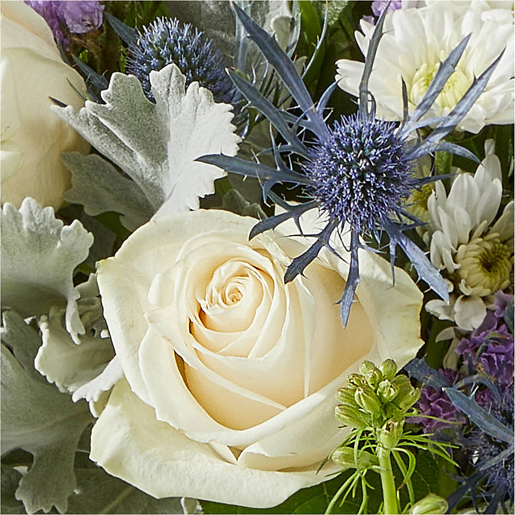 Shooting Star Bouquet –  Rita Fleuriste Montreal, Montreal PQ