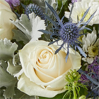 Shooting Star Bouquet –  Rita Fleuriste Montreal, Montreal PQ