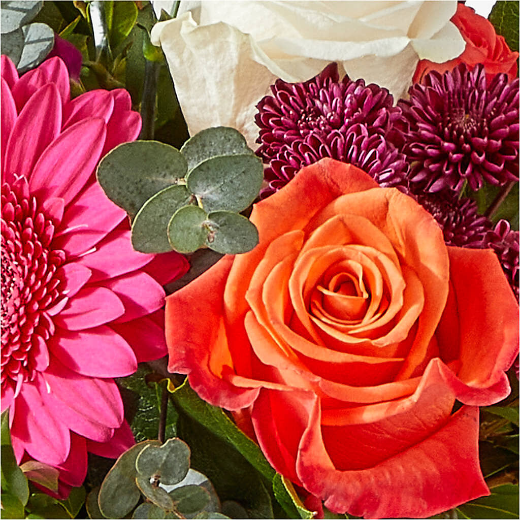 Smell the Roses Bouquet –  Rita Fleuriste Montreal, Montreal PQ