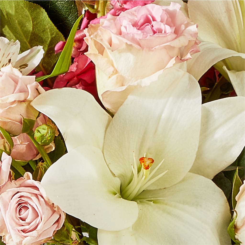 Ballet Slippers Bouquet –  Rita Fleuriste Montreal, Montreal PQ
