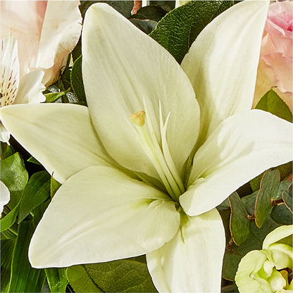Ballet Slippers Bouquet –  Rita Fleuriste Montreal, Montreal PQ