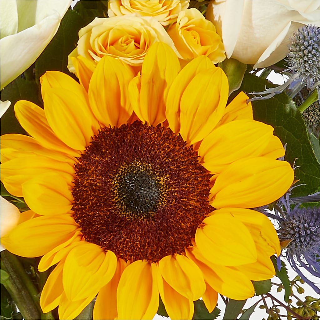Wonderfully Sunny Bouquet –  Rita Fleuriste Montreal, Montreal PQ