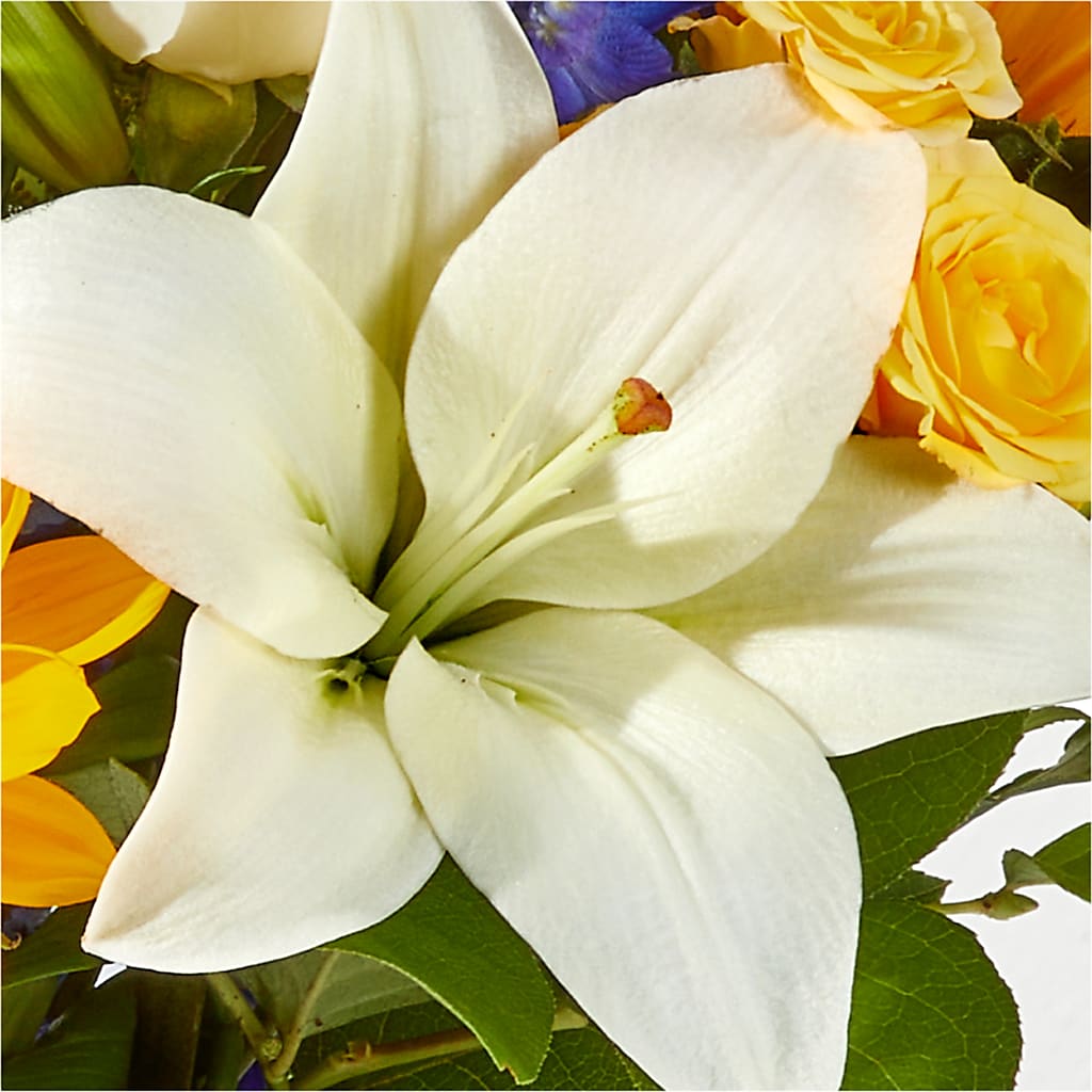 Wonderfully Sunny Bouquet –  Rita Fleuriste Montreal, Montreal PQ