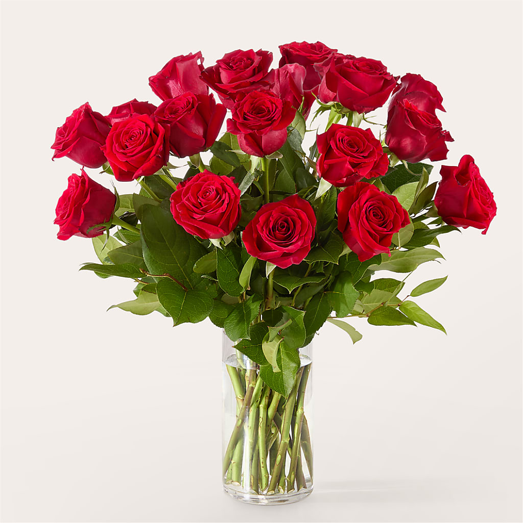 The One Red Rose Bouquet –  Rita Fleuriste Montreal, Montreal PQ