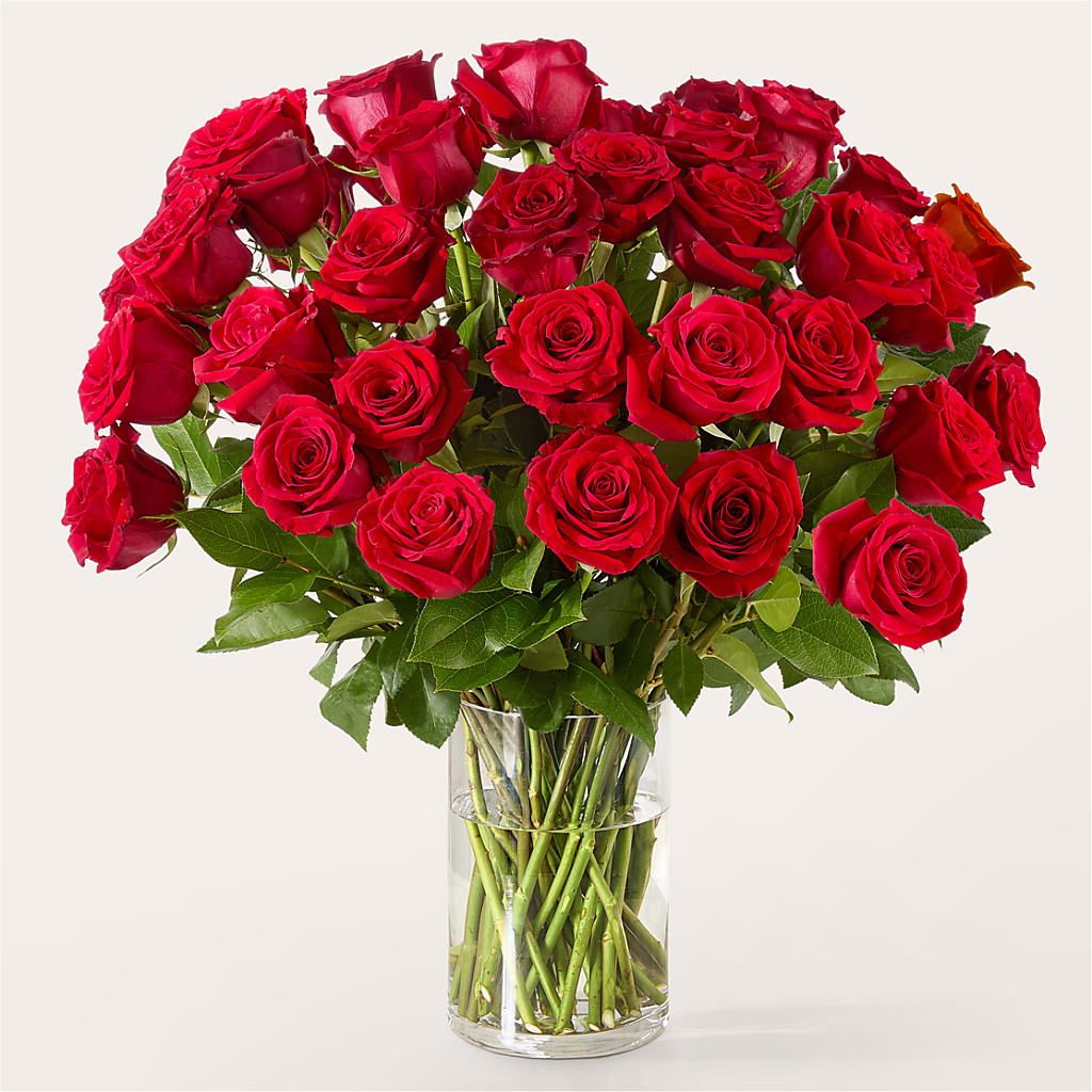 The One Red Rose Bouquet –  Rita Fleuriste Montreal, Montreal PQ