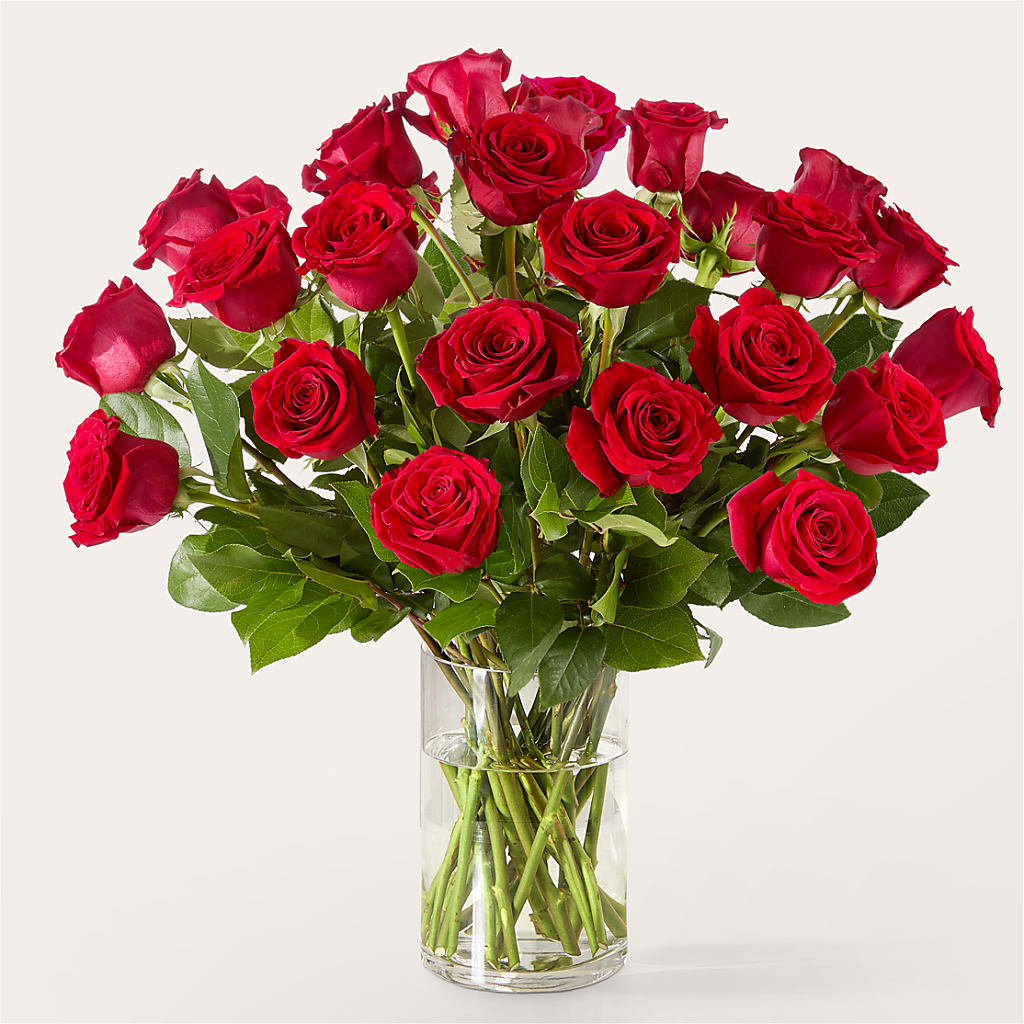 The One Red Rose Bouquet –  Rita Fleuriste Montreal, Montreal PQ