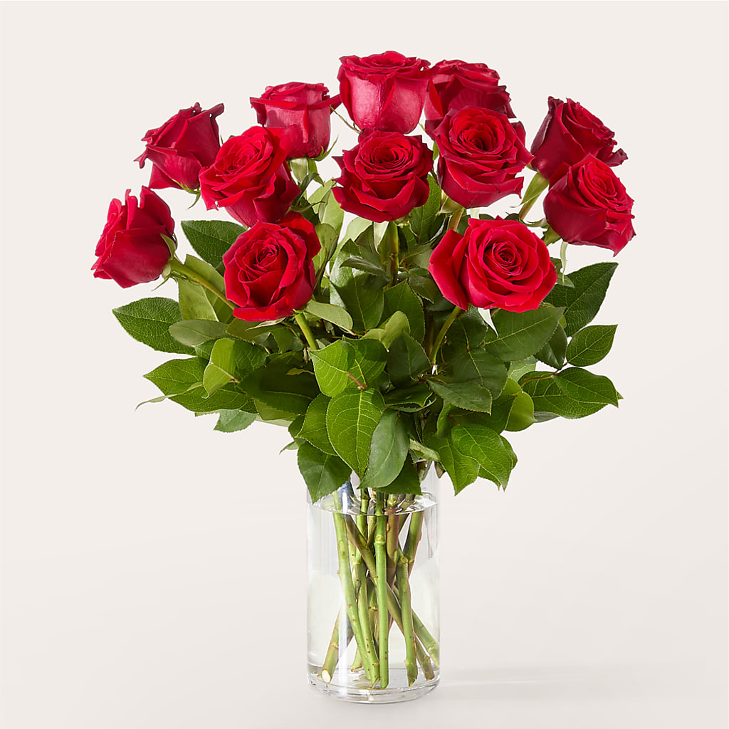 The One Red Rose Bouquet –  Rita Fleuriste Montreal, Montreal PQ