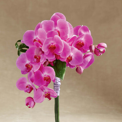 Glorious Bouquet –  Rita Fleuriste Montreal, Montreal PQ